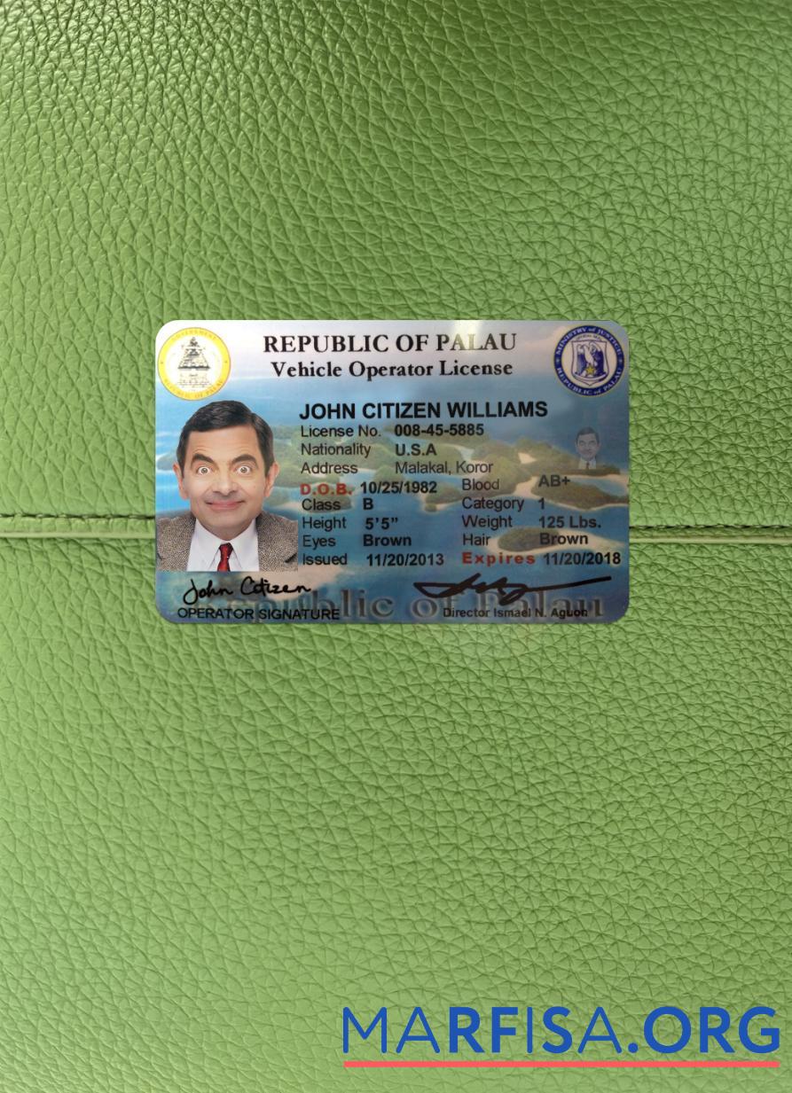 Blank Palau driving license side photolook sample